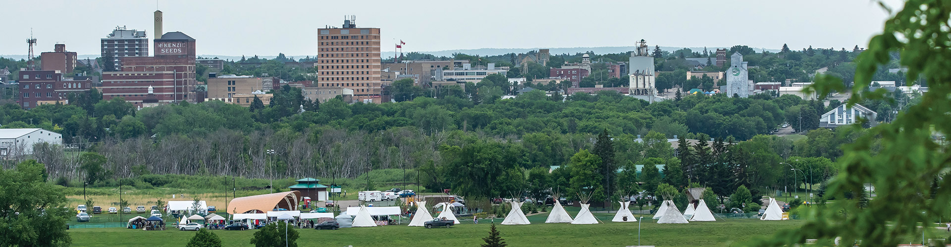 Tipis set up for National Indigenous Peoples Day at the Brandon Riverbank.