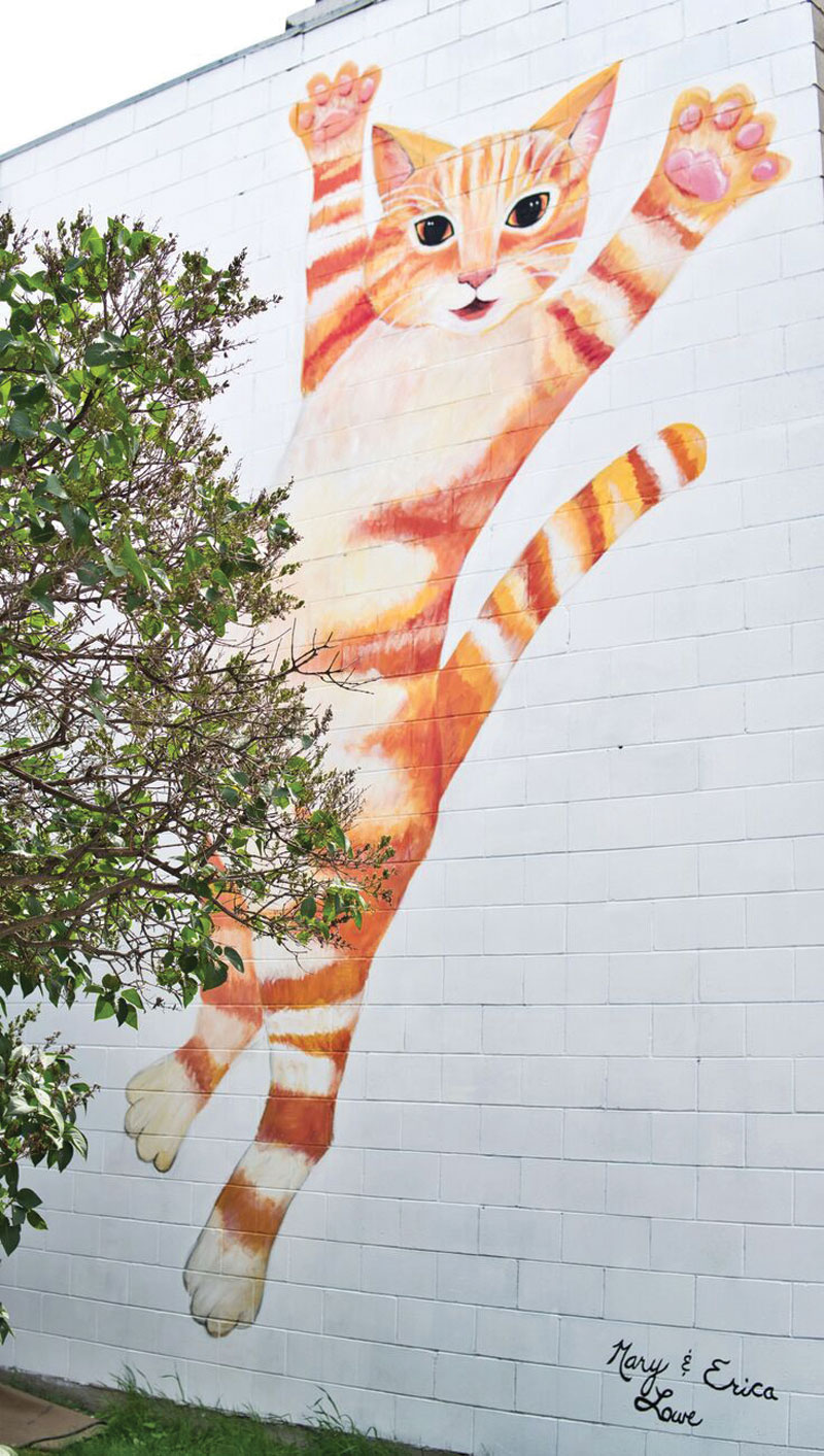 Brandon Downtown Mural – Cat – 315-10th Street, Brandon