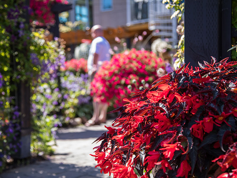 Open Garden Tours