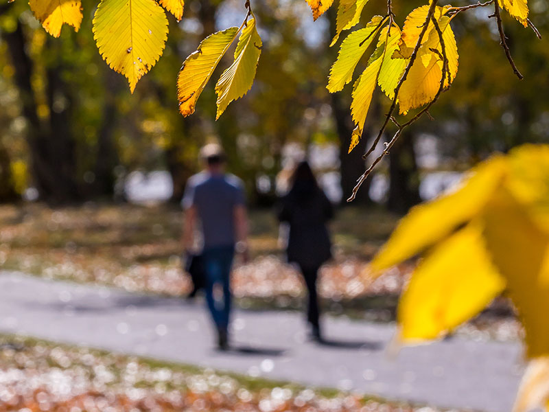 People walking in Brandon, fall, 2022