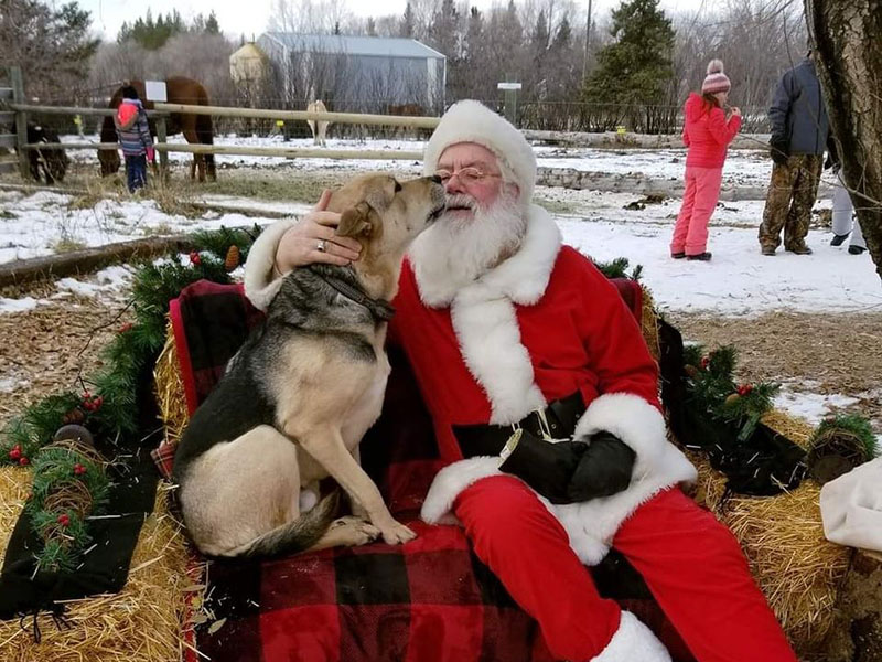 Interact with Santa at Funsize Farmyard