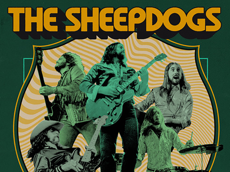 Sheep Dogs