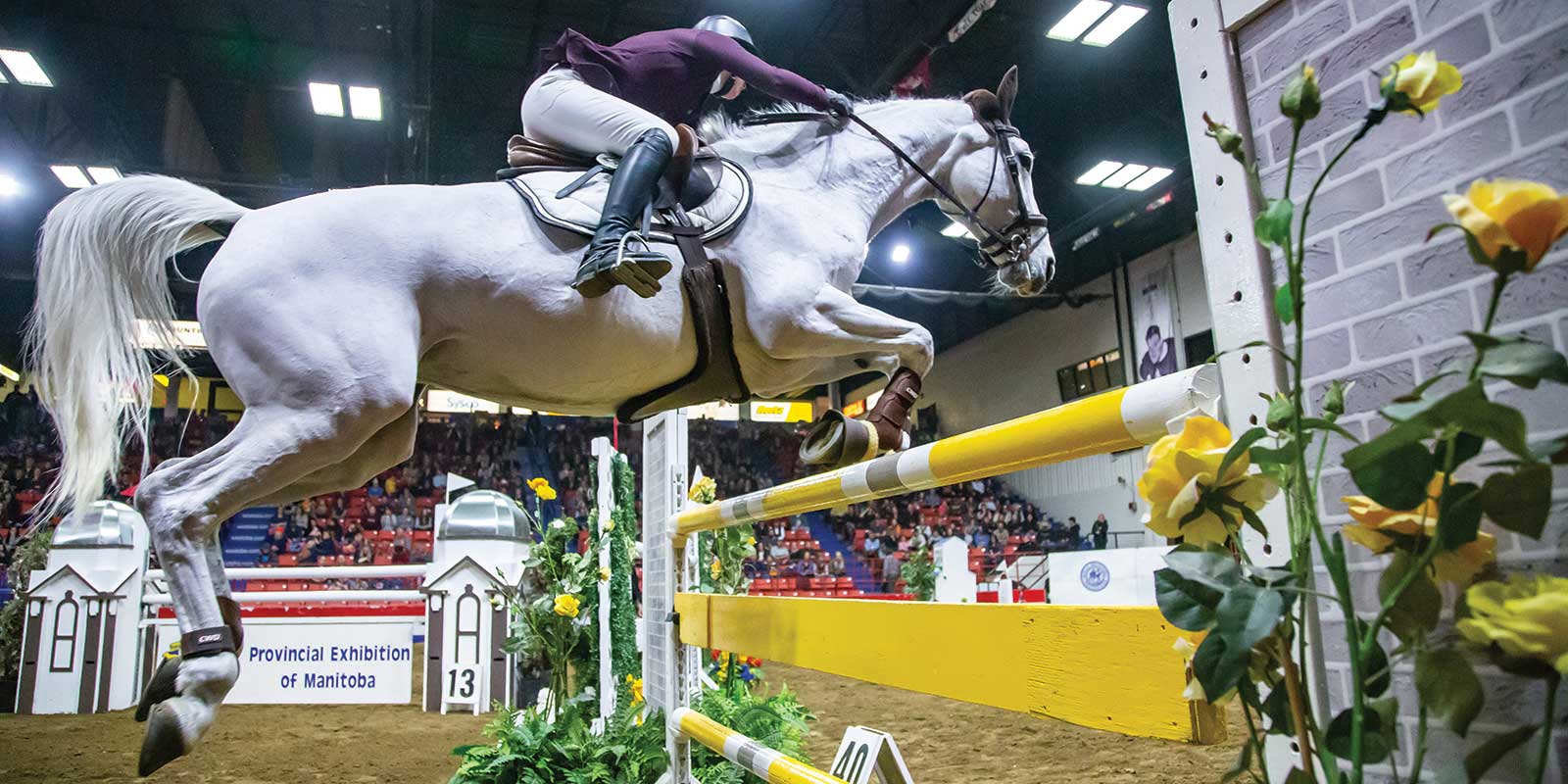 Horse Jumping event at the Royal Manitoba Winter Fair in Brandon, Manitoba