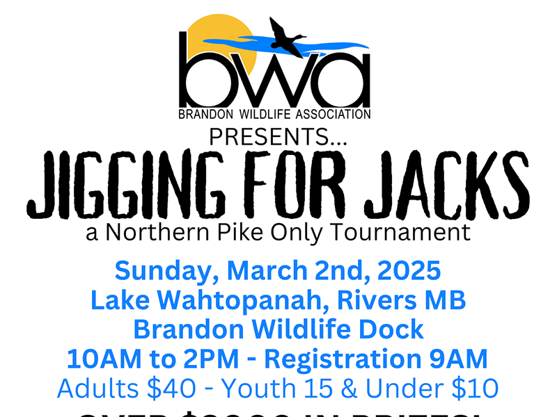 JIGGING-FOR-JACKS-2025