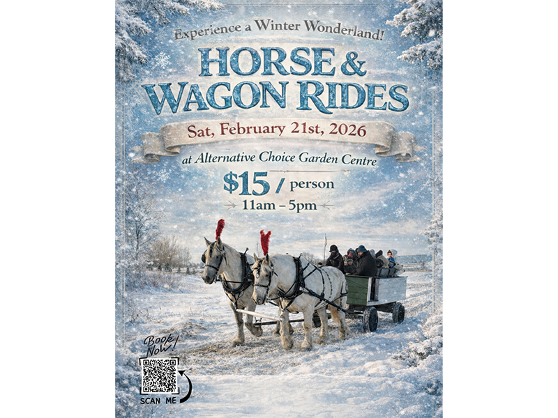 Horse and Wagon Rides, Brandon, MB